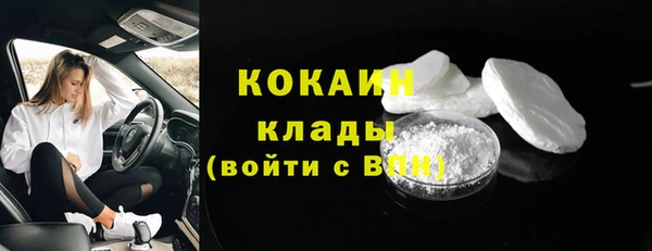 молекула духа Арсеньев