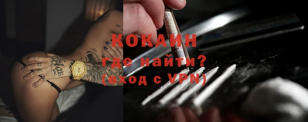 молекула духа Арсеньев