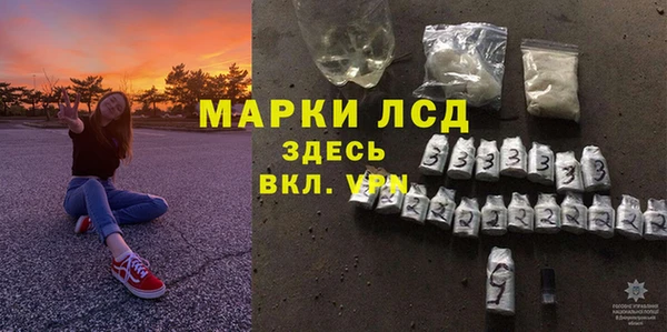 молекула духа Арсеньев