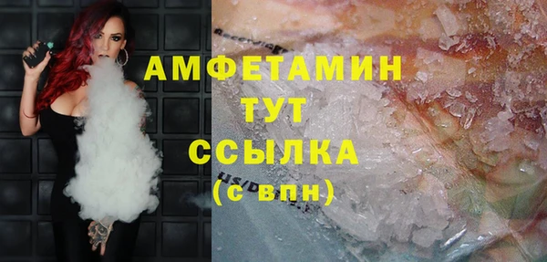 молекула духа Арсеньев