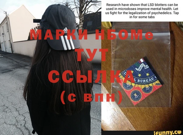 молекула духа Арсеньев